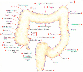 Colon-Hydro-Therapie