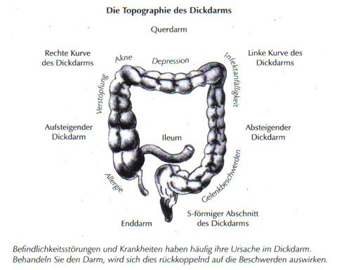 Topographie des Dickdarms